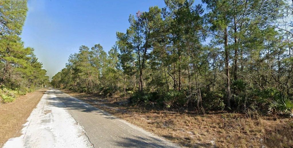 Photo of 3248 Glen Springs Avenue, Lake Placid, FL 33852 (MLS # O6343285)