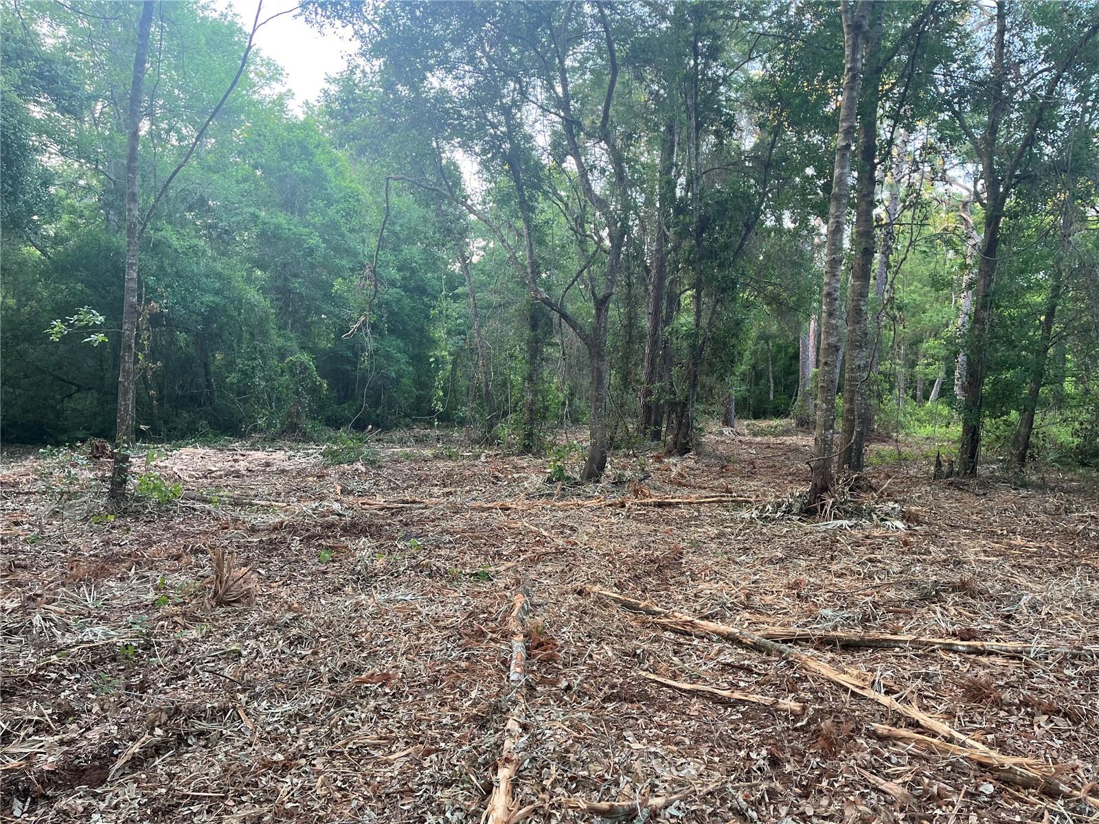 MOON LAKE ESTATES - Land