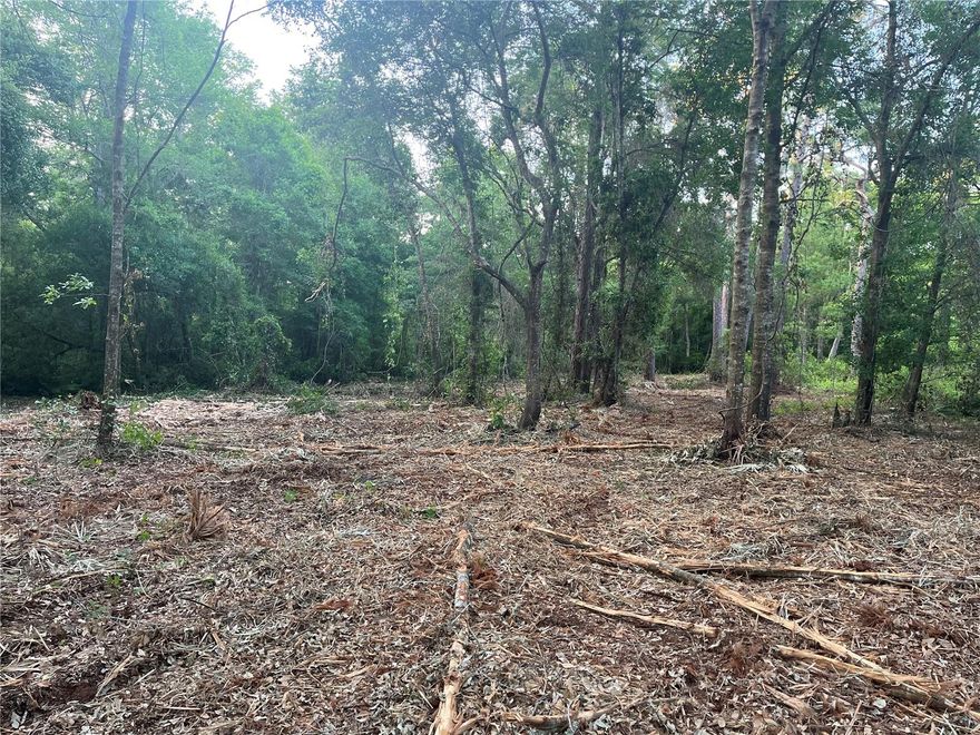 This spacious 7.97-acre wooded lot comes with no HOA or CDD fees, offering you the ultimate privacy while still being conveniently close to shopping and entertainment. The community features a lakefront park, boat ramp, and fishing access. The property is accessible via a dirt road, and you'll need to install a septic system and well. The power is 100 feet away in front of the house next door. Contact us directly or call for more details today!  Owner finance  available with 30% down payment, 7% in 15 years.