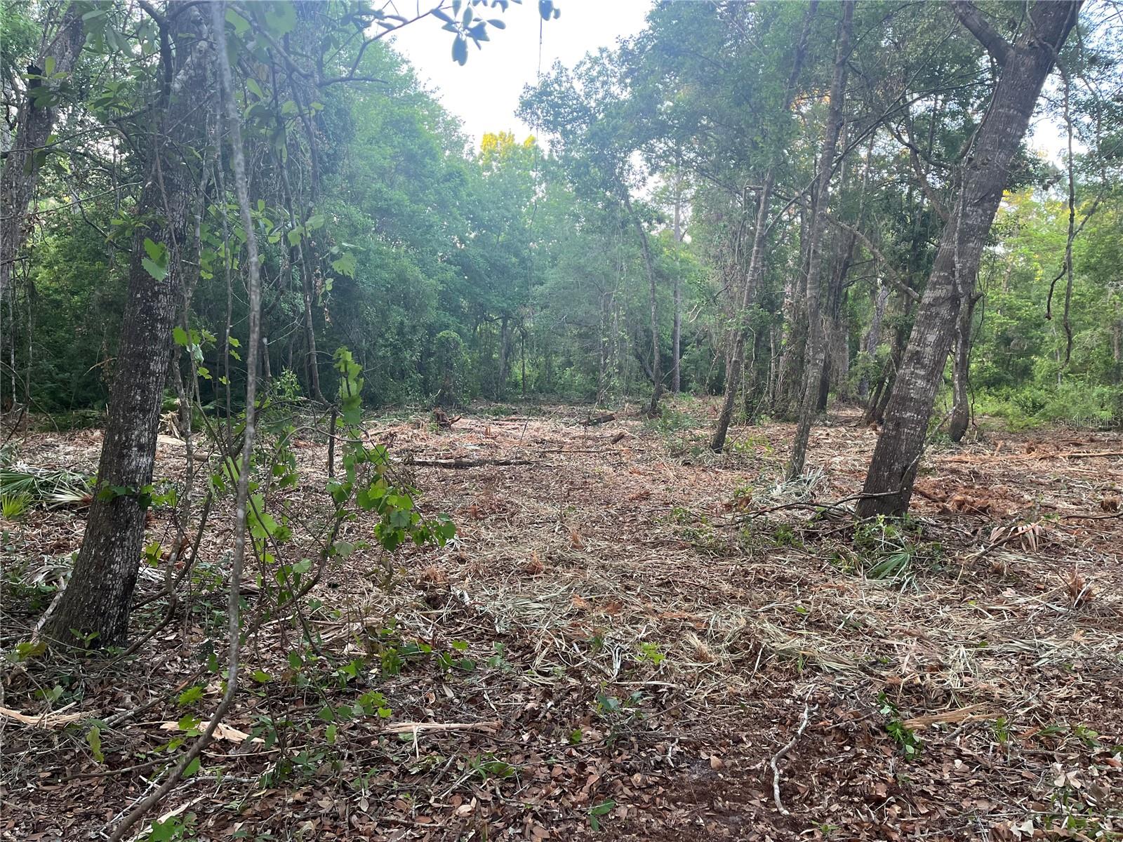 MOON LAKE ESTATES - Land