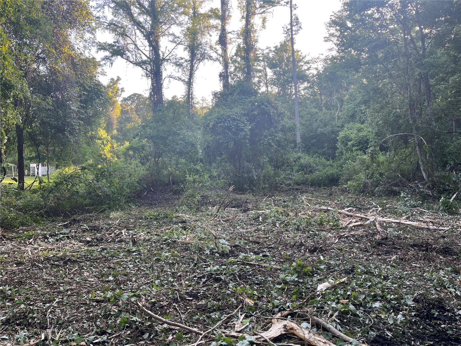 MOON LAKE ESTATES - Land