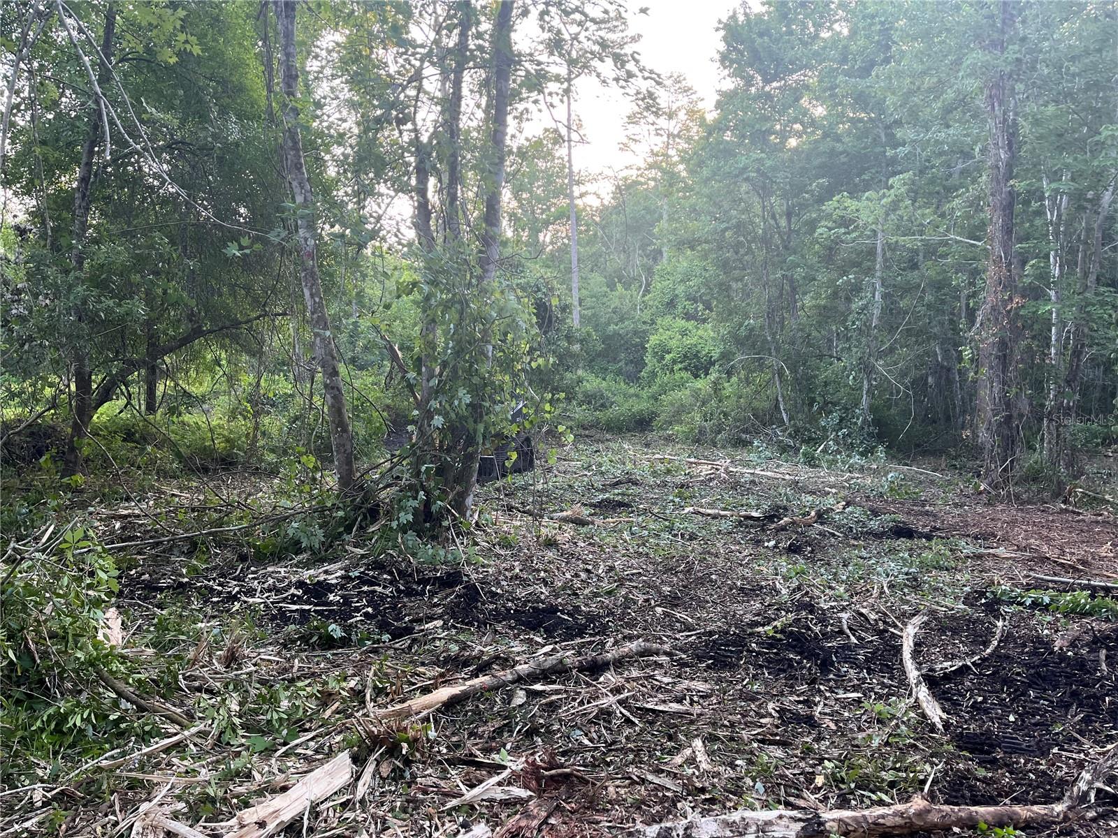 MOON LAKE ESTATES - Land