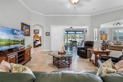 A home in MOUNT DORA