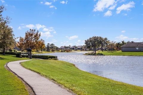 A home in MOUNT DORA