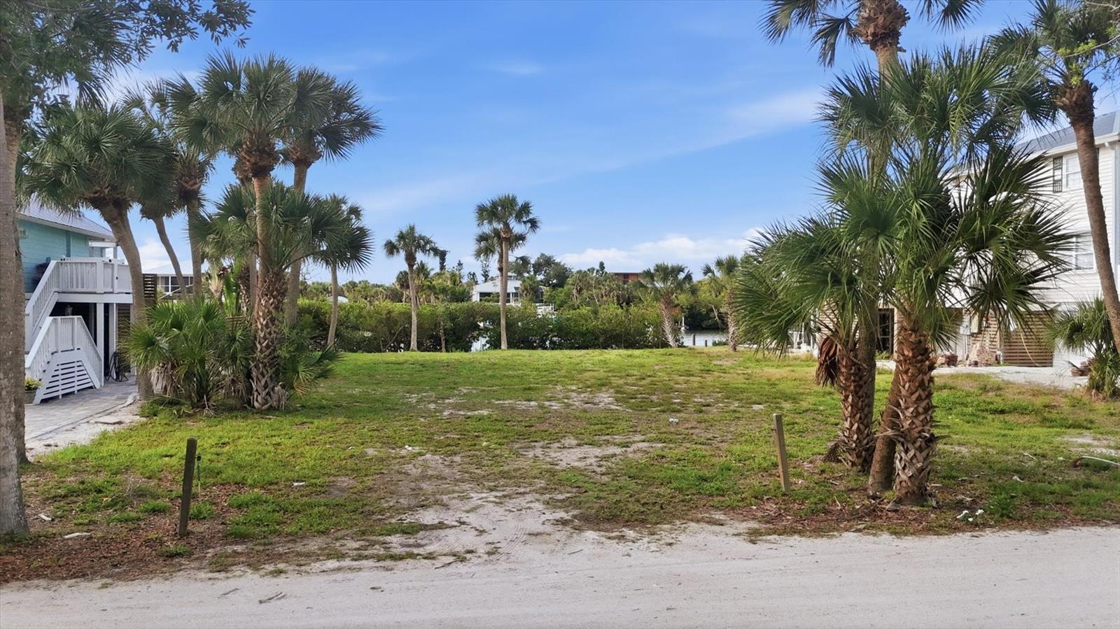 84 PALM DRIVE