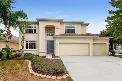 10448 SKY FLOWER COURT LAND O LAKES FL 34638