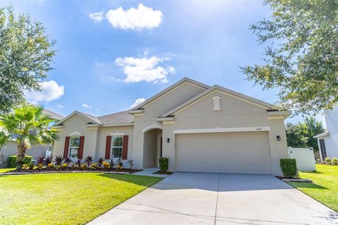 A home in APOPKA