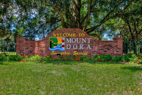 Tiny photo for 427 N Donnelly Street, Mount Dora, FL 32757 (MLS # G5116312)