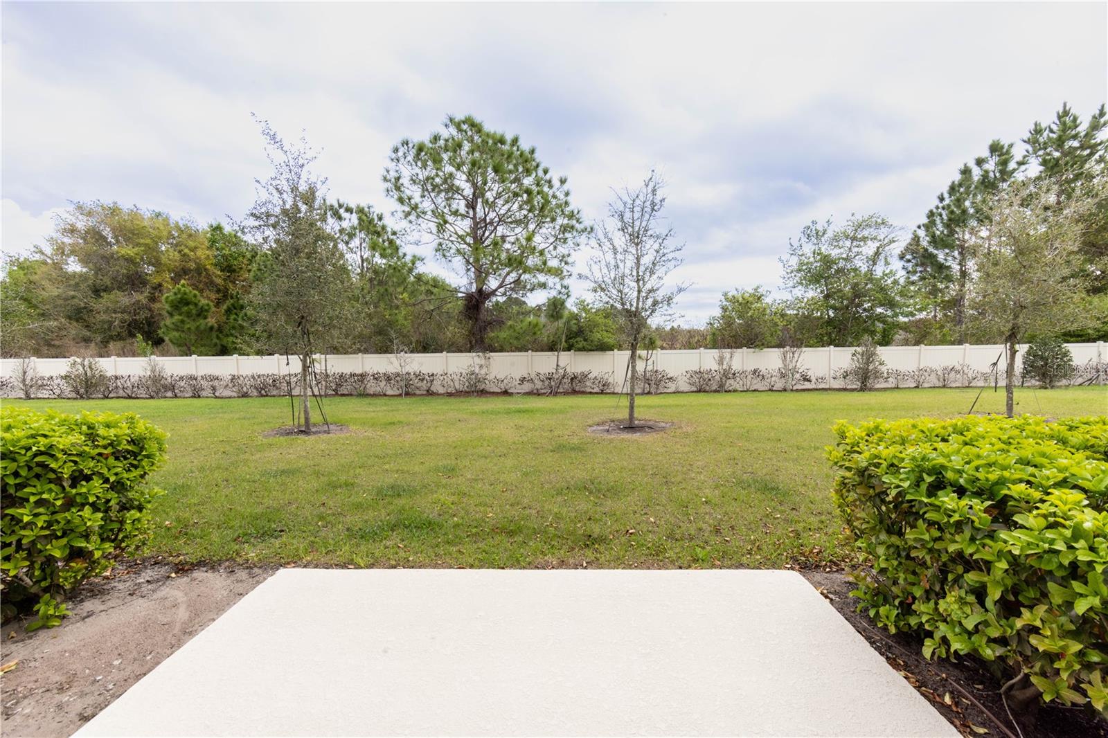 TOWNS AT NARCOOSSEE COMMONS - Residential