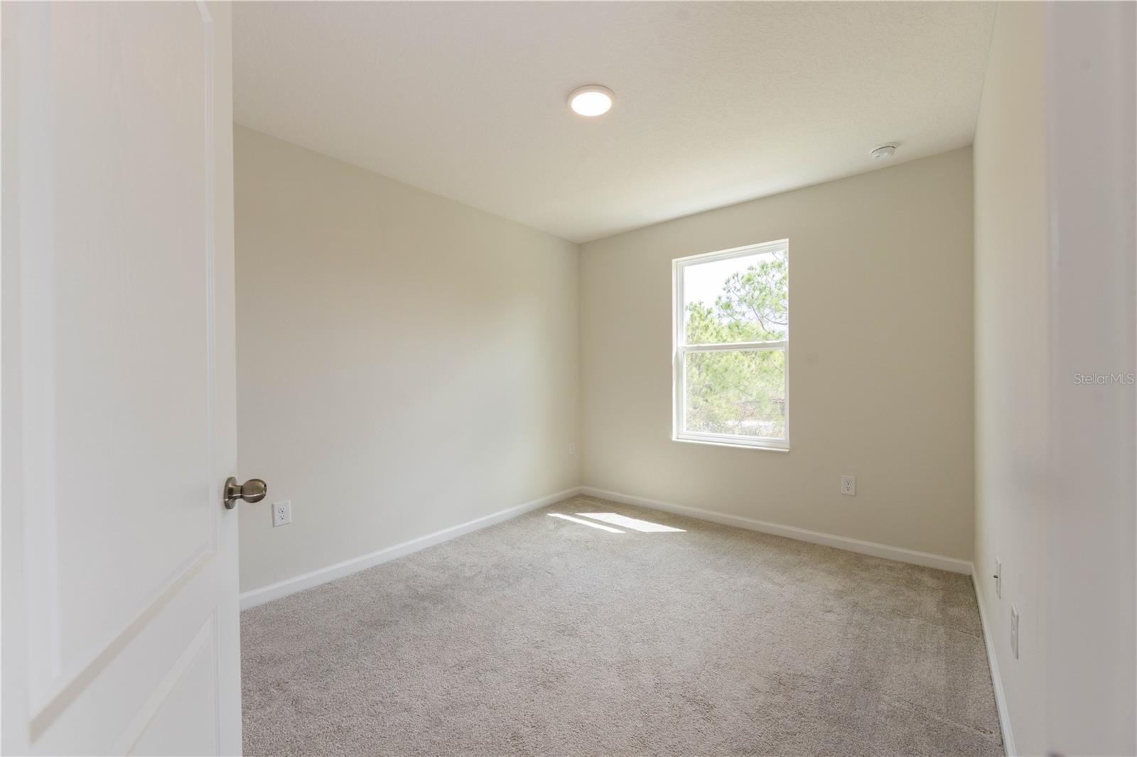 TOWNS AT NARCOOSSEE COMMONS - Residential