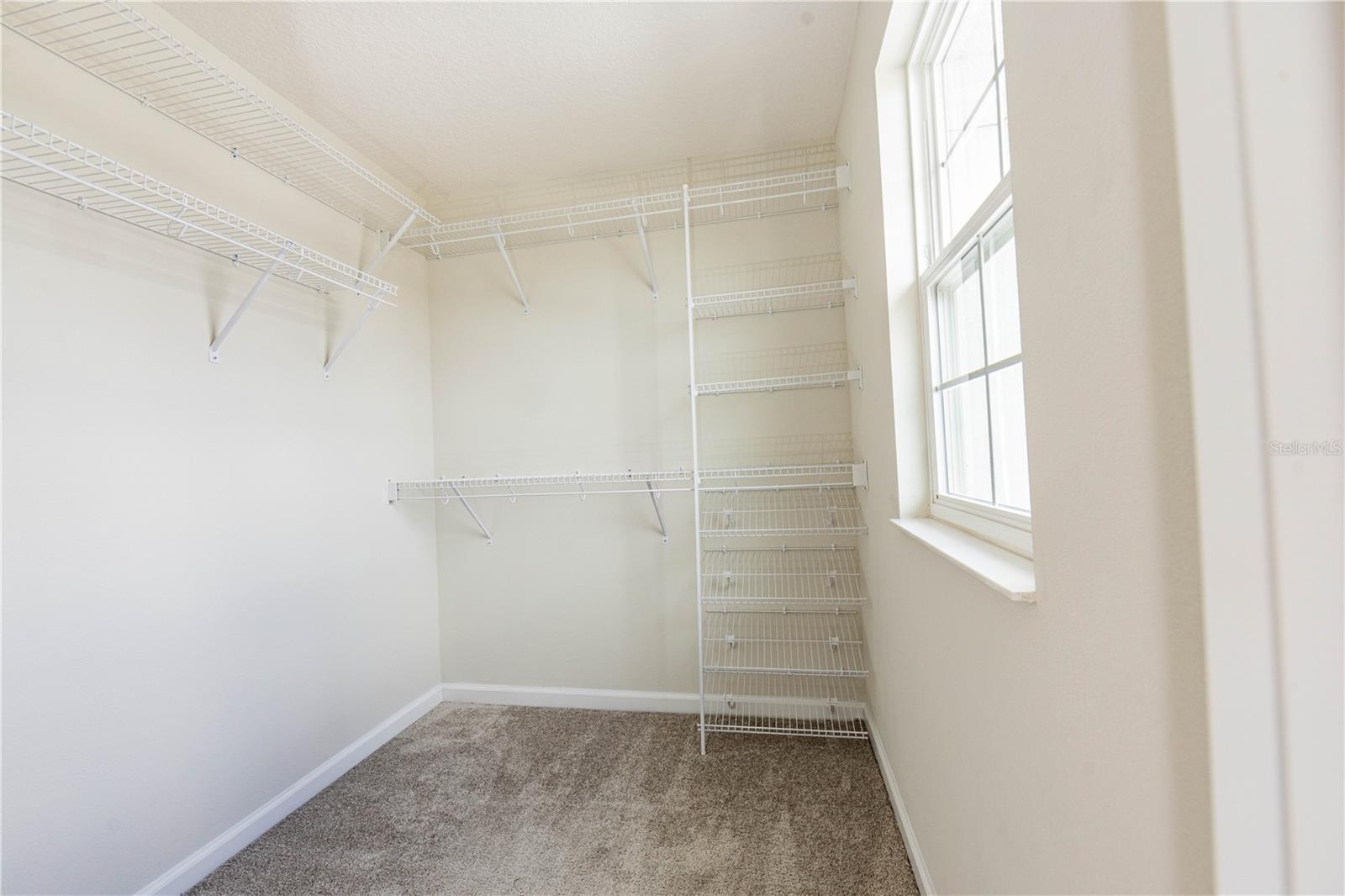 TOWNS AT NARCOOSSEE COMMONS - Residential