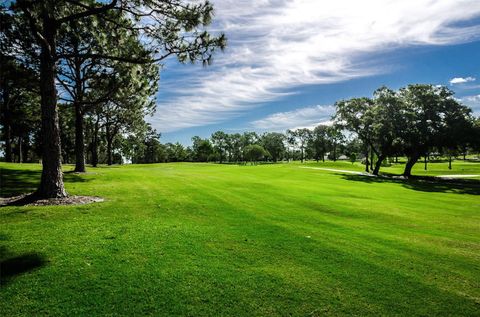 A home in PALM HARBOR