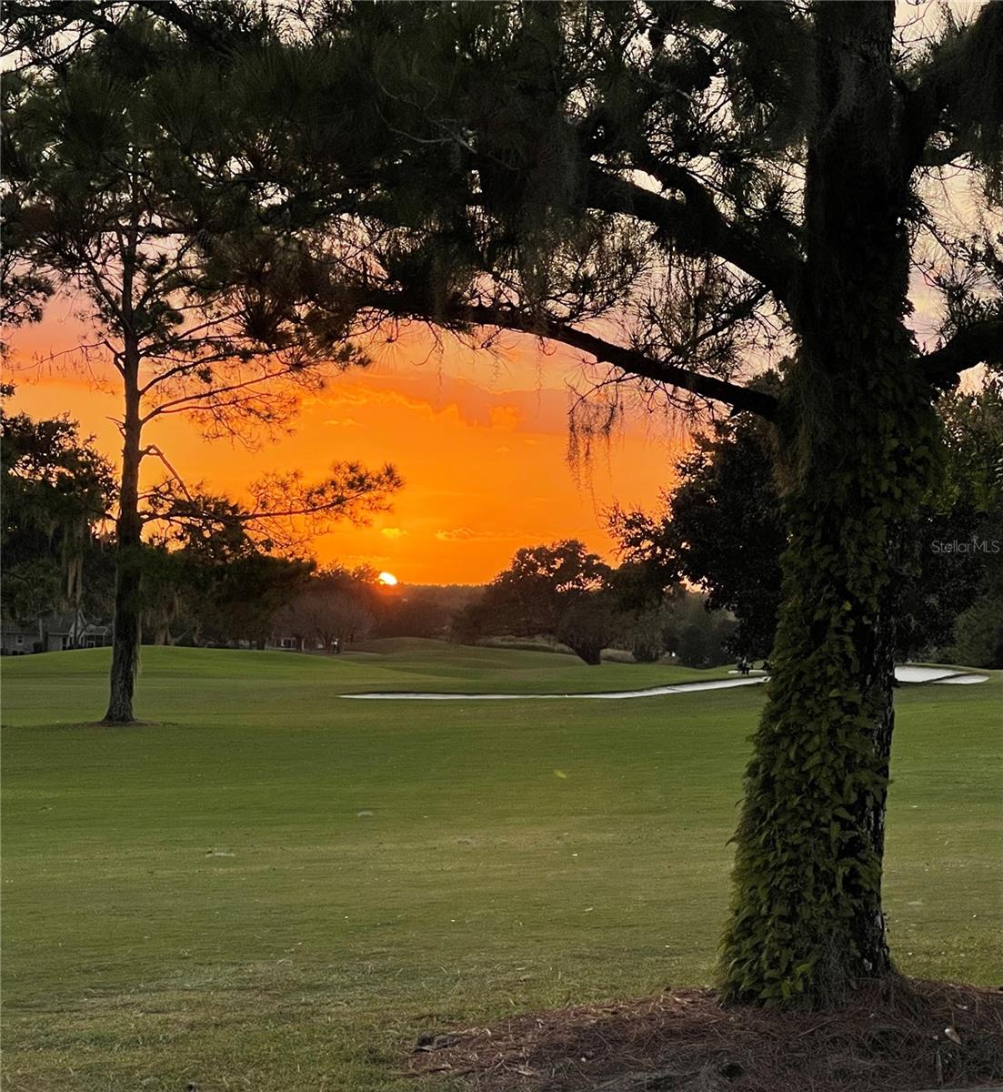 VILLAGES/MARION UN 49 - Residential