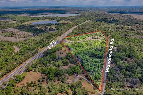 110 SE WACAHOOTA ROAD MICANOPY FL 32667