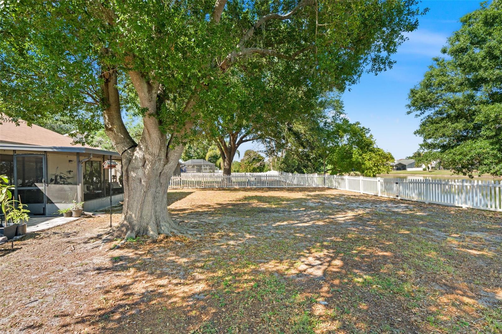 SUMMERFIELD VILLAGE 1 TR 28 - Residential