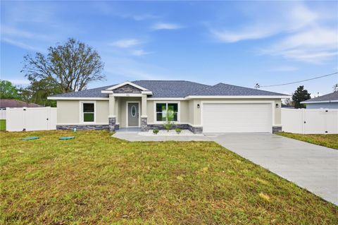 46 JUNIPER DRIVE OCALA FL 34480