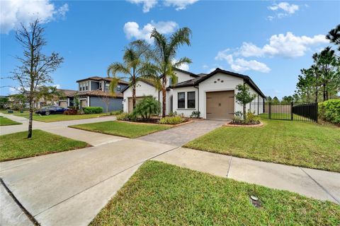 19611 CYPRESS BRIDGE DRIVE ODESSA FL 33556