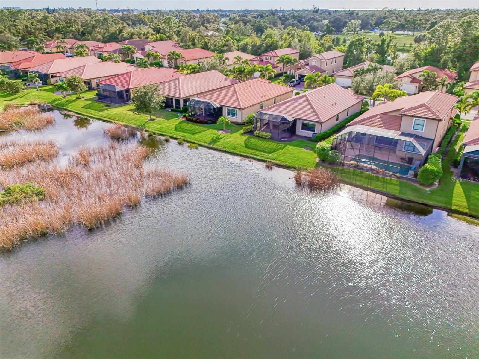 CALUSA PARK - Residential