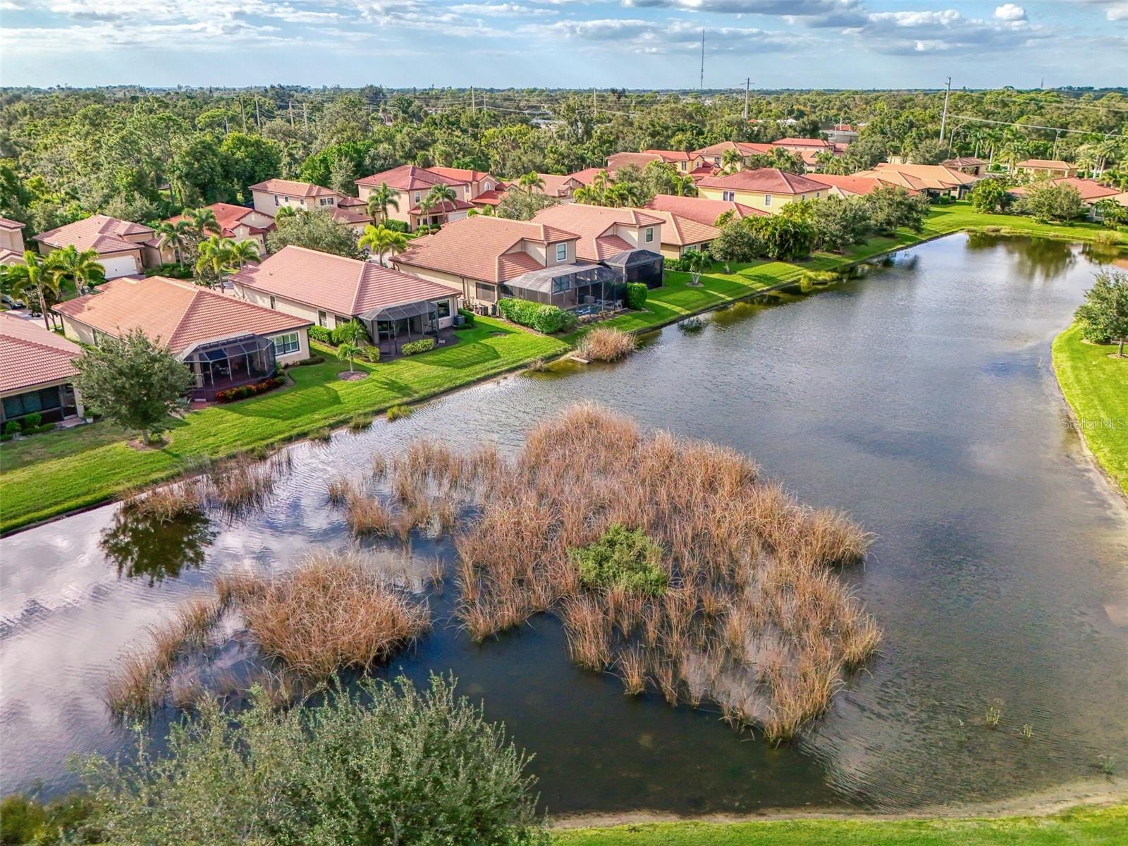 CALUSA PARK - Residential