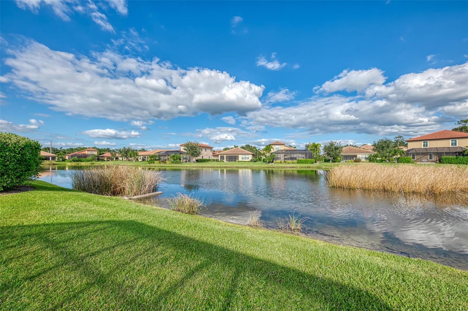 CALUSA PARK - Residential