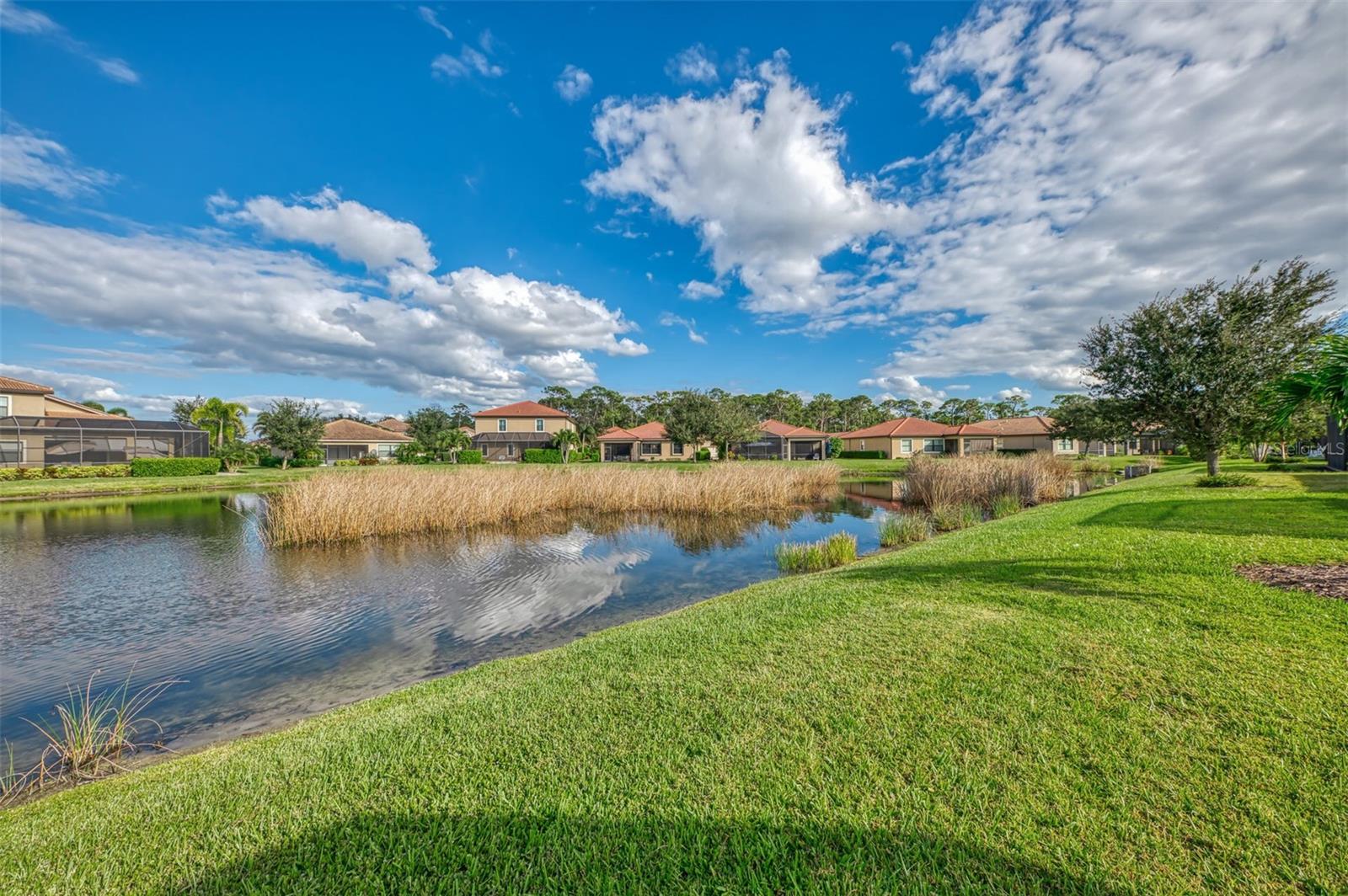 CALUSA PARK - Residential