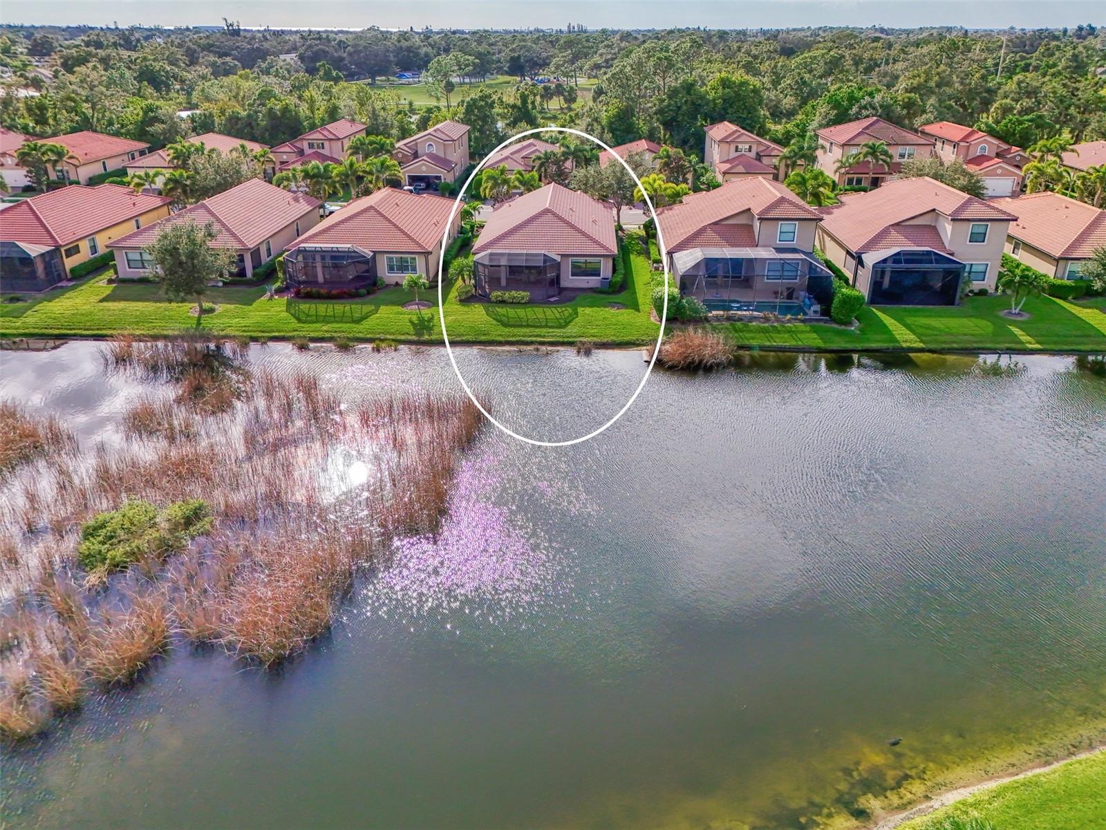 CALUSA PARK - Residential