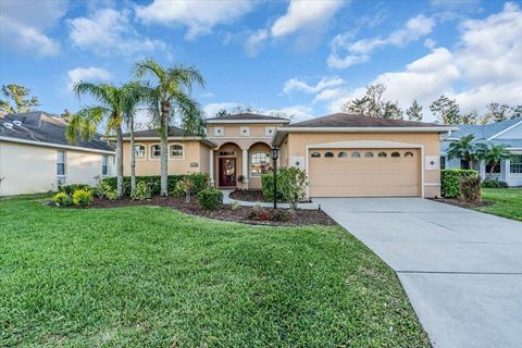 Photo of 11835 Hollyhock Drive, Lakewood Ranch, FL 34202 (MLS # A4665869)