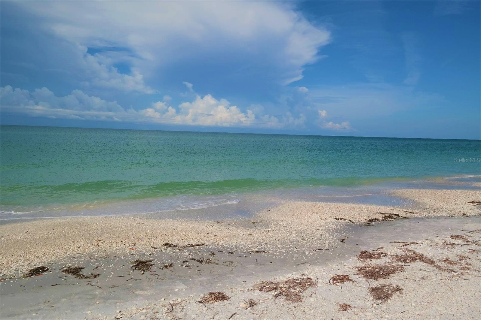 GASPARILLA SHORES - Residential