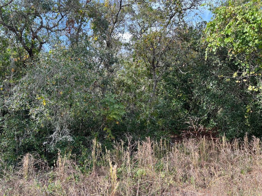 Photo of 12151 Twin Lake Drive, New Port Richey, FL 34654 (MLS # TB8318822)