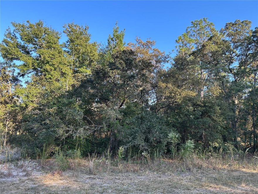 WOODSY BUILDING LOT NEAR OLD WILLISTON HIGHLANDS GOLF COURSE! A peaceful and natural setting awaits you on this ¼ acre wooded building lot tucked away on a quiet lime rock street just minutes from Williston. Surrounded by mature trees and native vegetation, this parcel offers privacy and a great location for your future home. Easy drive to Gainesville, Ocala, and local outdoor recreation areas. Enjoy the charm of country living with the convenience of nearby amenities!