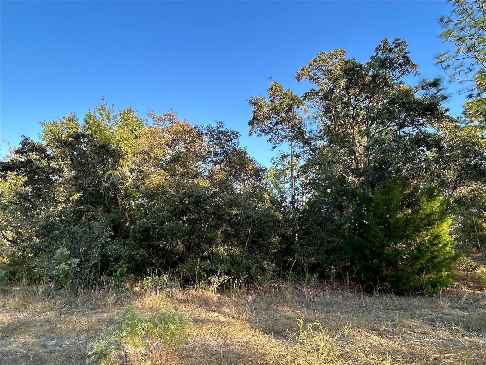 WILLISTON HYLNDS GOLF & C CLUB ESTATE - Land