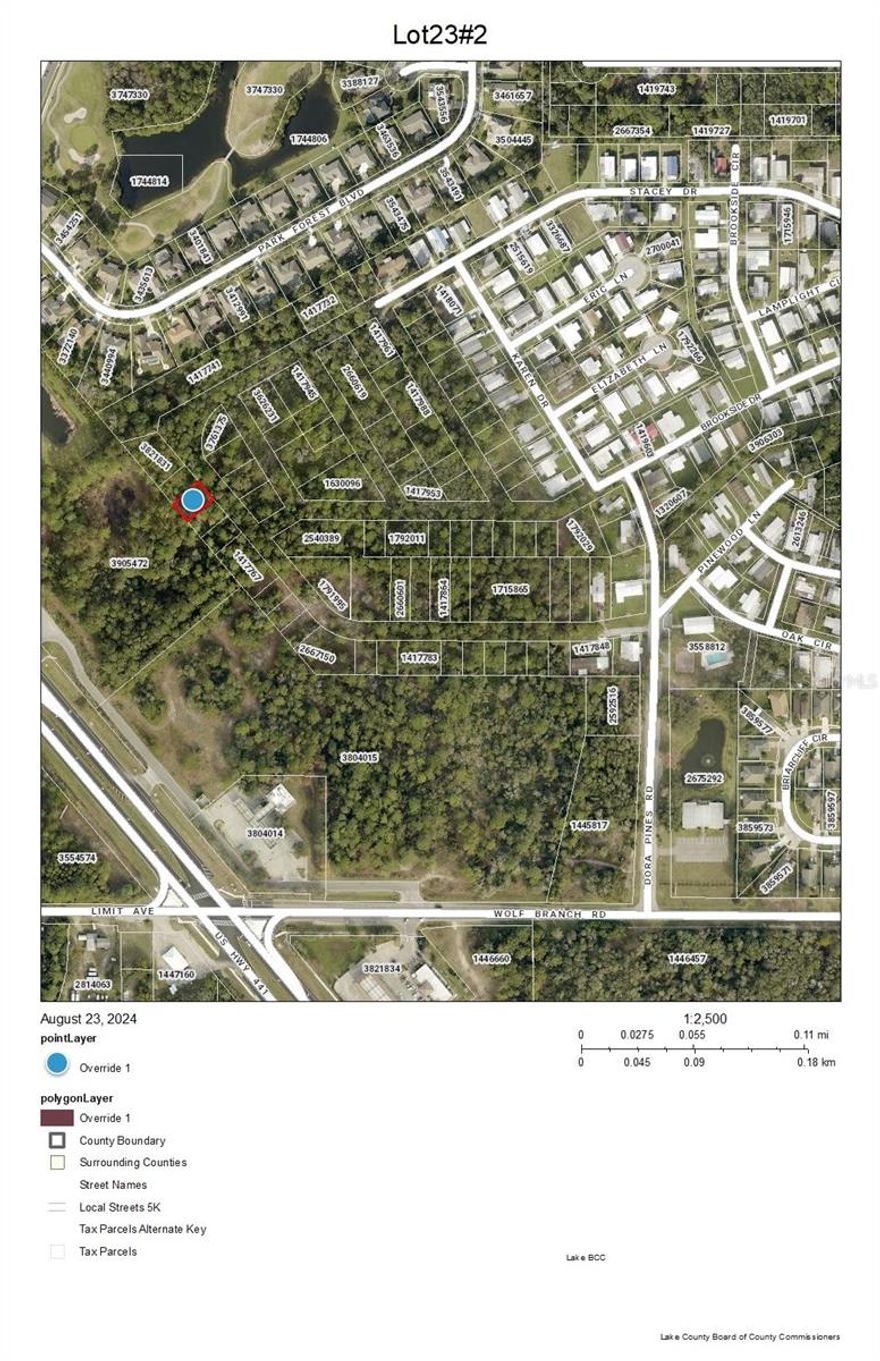 Looking for the perfect spot to build our dream home? Look no further than this unimproved land located near US441 and downtown Mount Dora. This property is zoned for both single family homes and manufactured homes, offering plenty of options for your future residence. While sewer and well installation will be necessary, this lot’s prime location is worth the investment. Just minutes from US441 and 2.4 miles from downtown Mount Dora, you’ll have easy access to all the festivals and events this charming town has to offer. Plus, you’ll be a short drive away from Renniger’s Flea Market and Antique Center, where you can discover hidden treasures and unique finds. This property’s convenient location also allows for easy travel to both the Gulf Coast and the Atlantic Ocean. Within an hour and a half, you can be relaxing on the beach and soaking up the Florida sun. If you’re looking for entertainment closer to home, Orlando and Disney are only 40-50 minutes away. Keep in mind that building requirements and regulations will vary by municipality, so it will be the buyer’s responsibility to contact Zoning and Planning to determine the specific requirements for this lot. Don’t miss out on the opportunity to build your dream home in this desirable location with NO HOA! PLEASE NOTE THAT THIS LAND IS UNIMPROVED AND MAY NOT BE ACCESSIBLE AT THIS TIME, ROADS ARE PLATTED, BUT MAY NOT BE CLEARED. YOU WILL NEED A WELL, SEPTIC AND EACH HOME WILL NEED A SPRINKLER SYSTEM PER PLANNING AND ZONING. ANY INQUIRES ON USE OF THIS PROPERTY SHOULD BE MADE TO THE LAKE COUNTY PLANNING AND ZONING. THIS IS ALL THE REALTOR KNOWS REGARDING THIS PROPERTY.