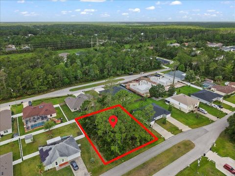 Photo of 7 Service Tree Place, Palm Coast, FL 32164 (MLS # FC318881)