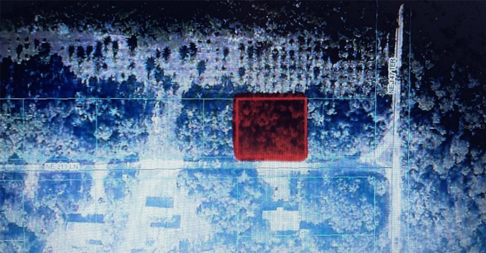 BOAT BASIN ROAD OCALA NATL FR - Land