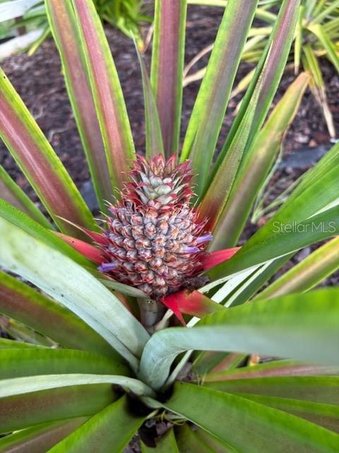 NOT IN SUBDICISION - Residential