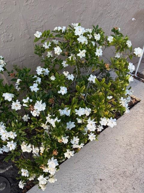 NOT IN SUBDICISION - Residential