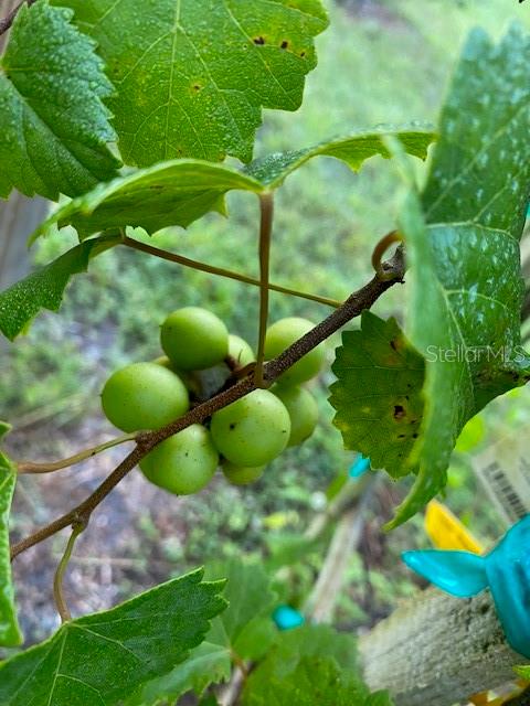 NOT IN SUBDICISION - Residential