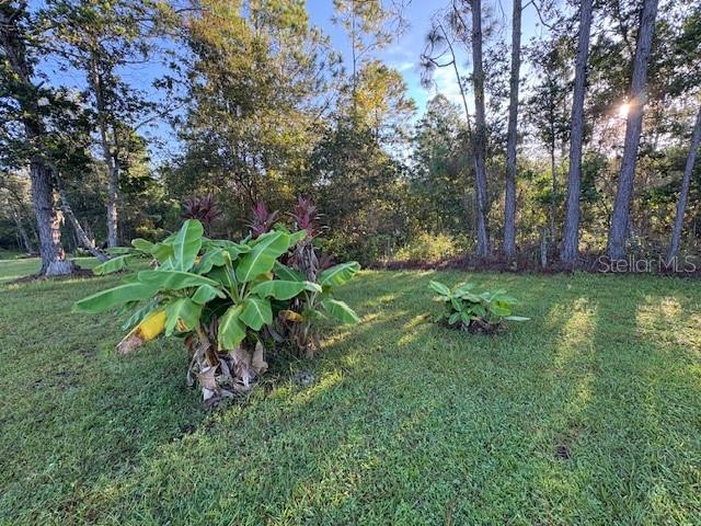 NOT IN SUBDICISION - Residential