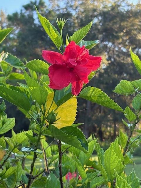 NOT IN SUBDICISION - Residential