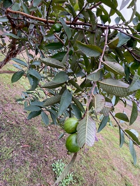 NOT IN SUBDICISION - Residential