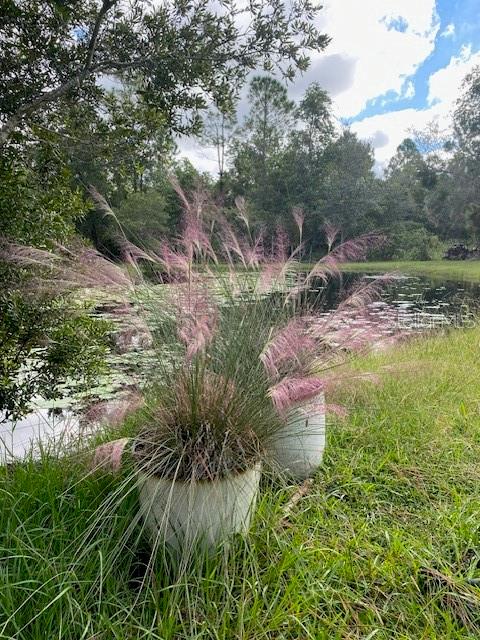 NOT IN SUBDICISION - Residential