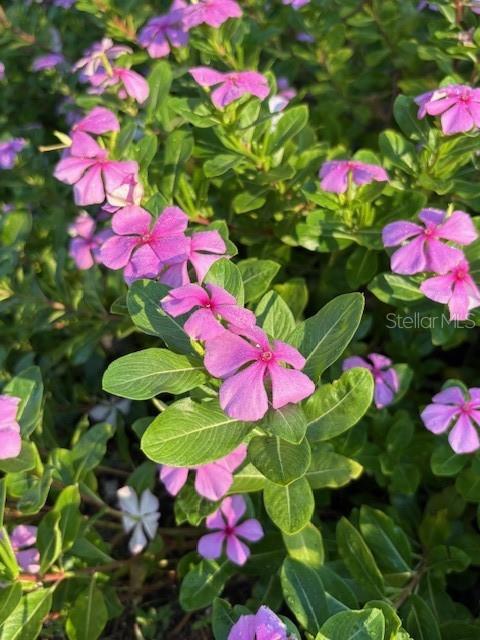 NOT IN SUBDICISION - Residential