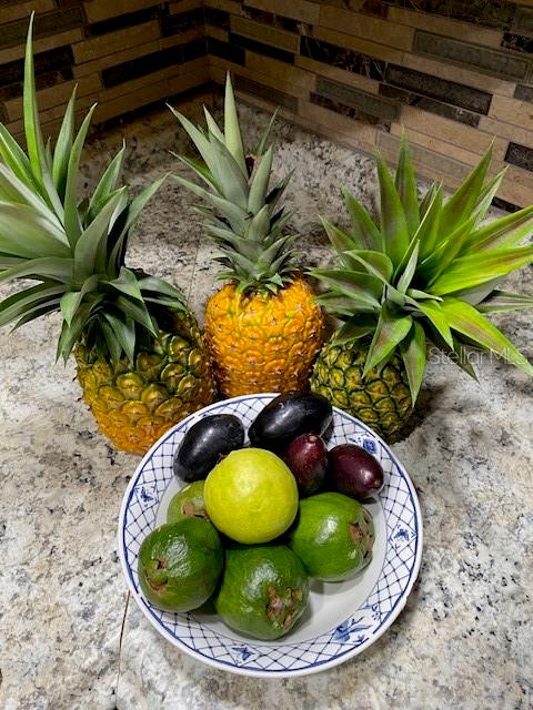 NOT IN SUBDICISION - Residential