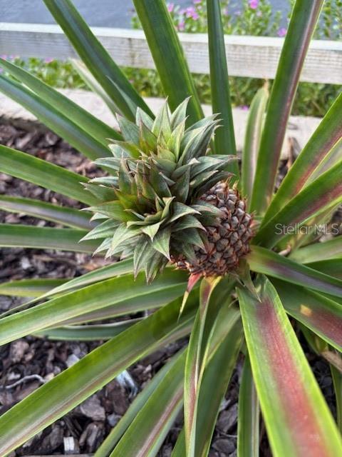 NOT IN SUBDICISION - Residential