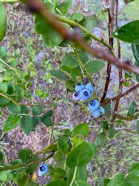 NOT IN SUBDICISION - Residential