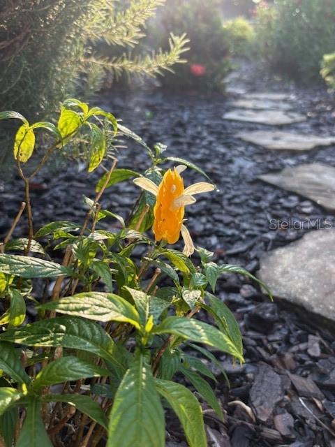 NOT IN SUBDICISION - Residential