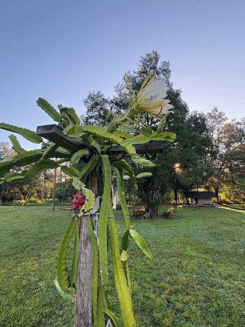 NOT IN SUBDICISION - Residential