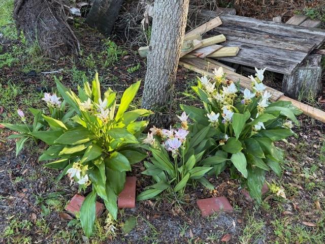 NOT IN SUBDICISION - Residential