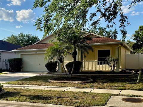224 CHARDONNAY PLACE VALRICO FL 33594
