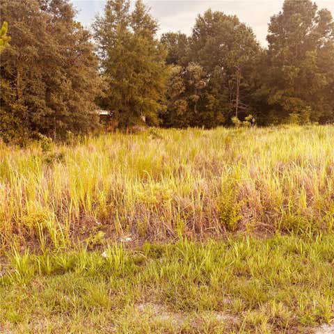 Featured picture for the property OM728547